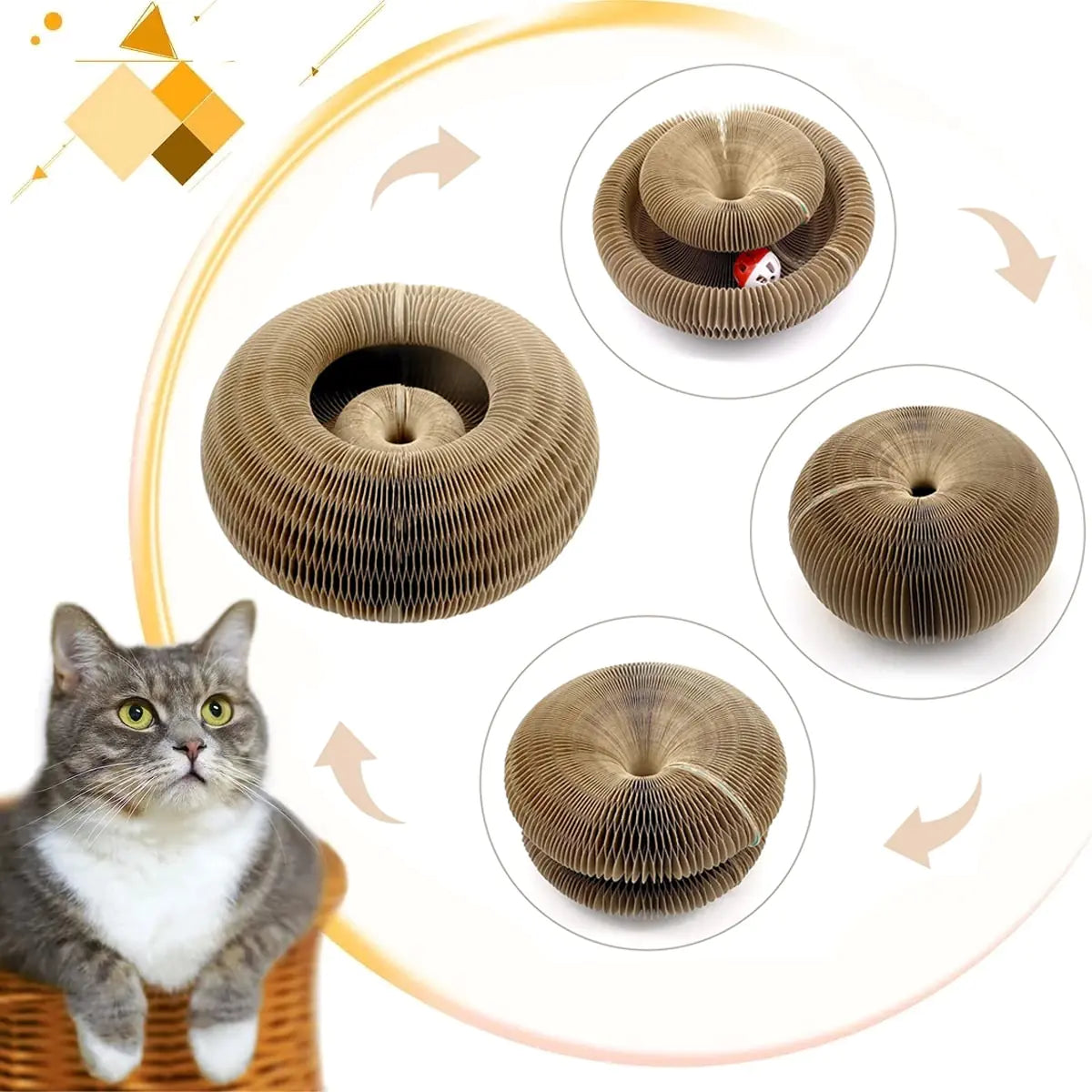 Magic Organ Cats Scratcher Toy